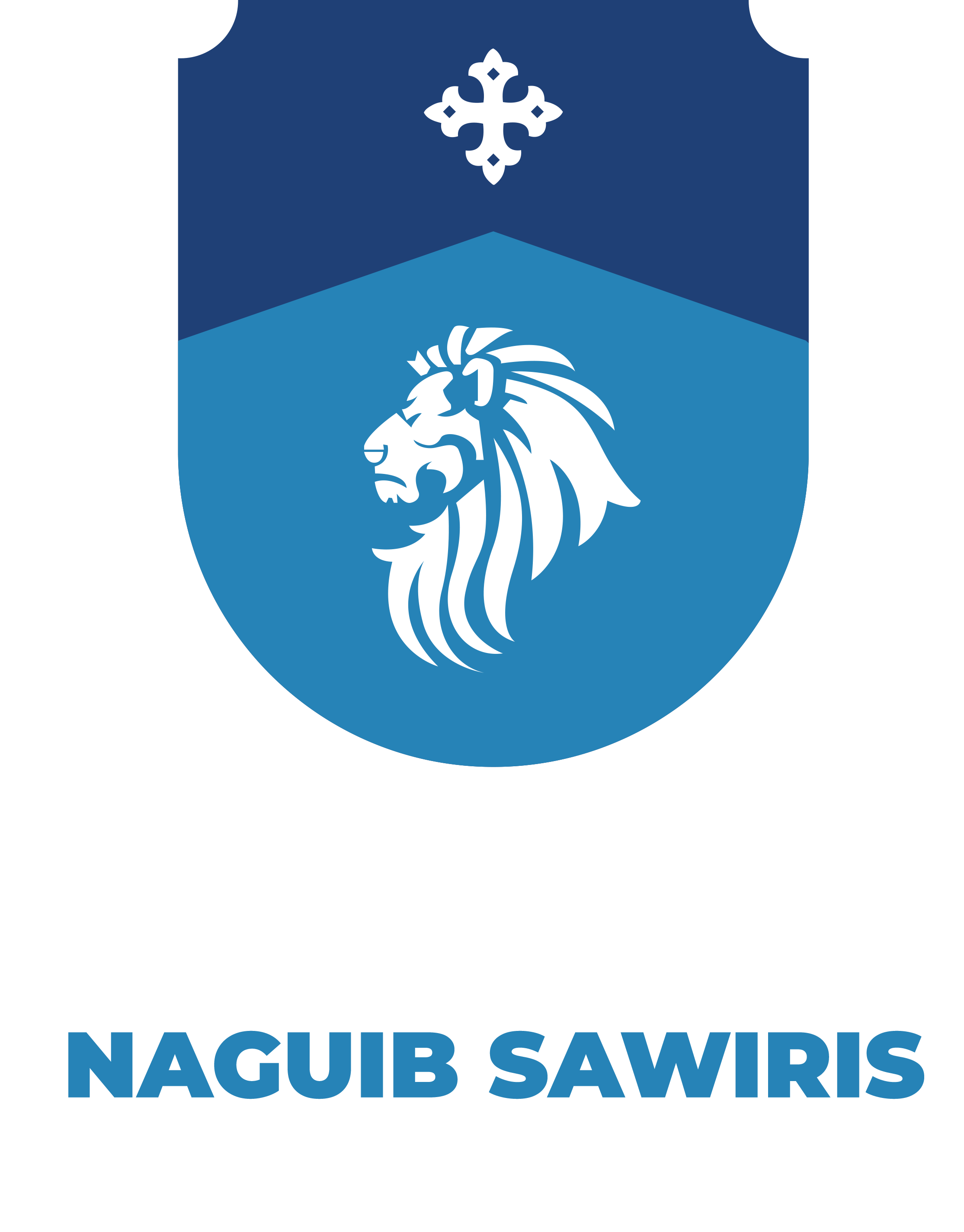 Agora Naguib Sawiris School of Business
